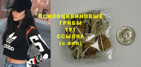 крисы Белокуриха