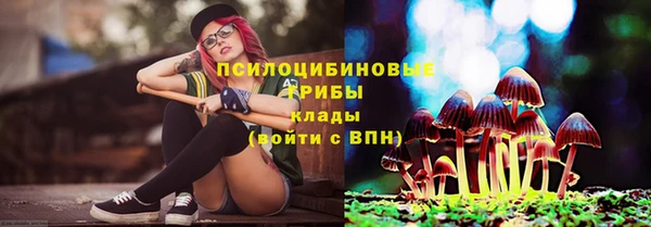 дурь Беломорск