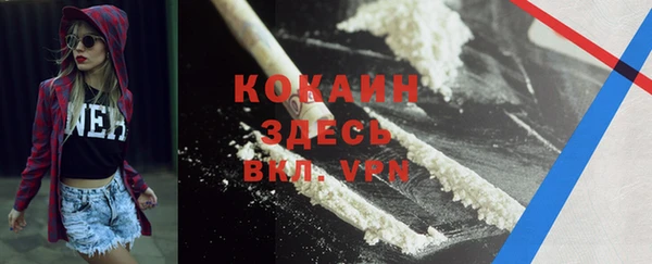 крисы Белокуриха