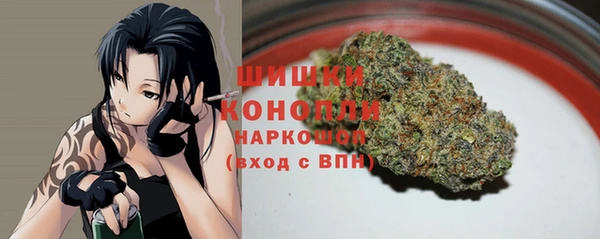 молекула духа Белоозёрский