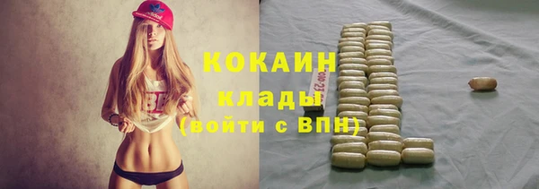 крисы Белокуриха