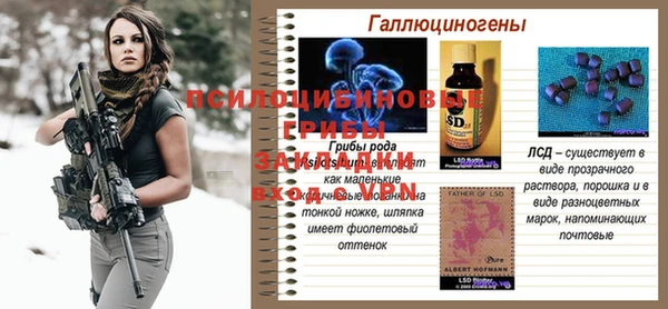 молекула духа Белоозёрский