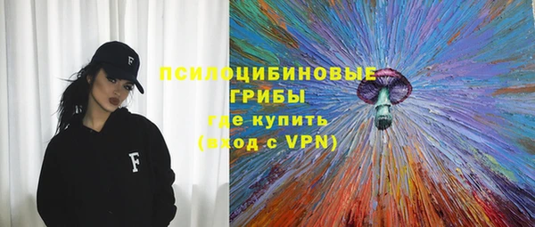 крисы Белокуриха
