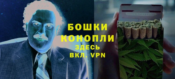 молекула духа Белоозёрский