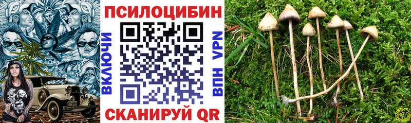 Галлюциногенные грибы прущие грибы  Бирюсинск 
