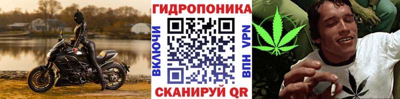 Бошки марихуана SATIVA & INDICA  Бирюсинск 